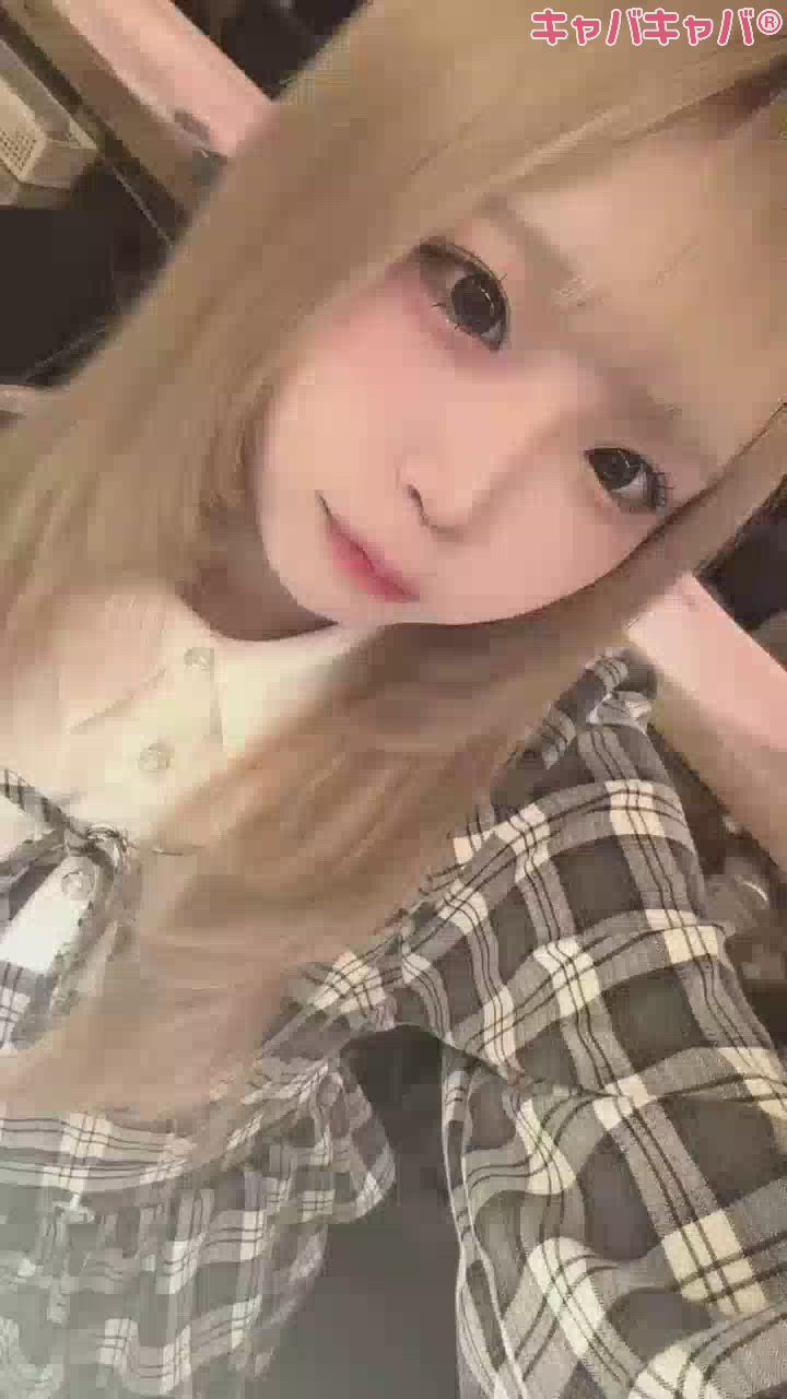 一条 葵