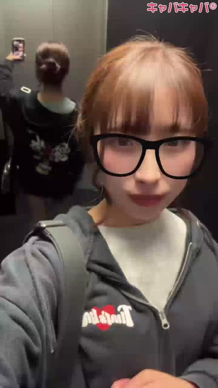 一条 葵