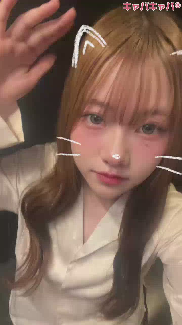 一条 葵