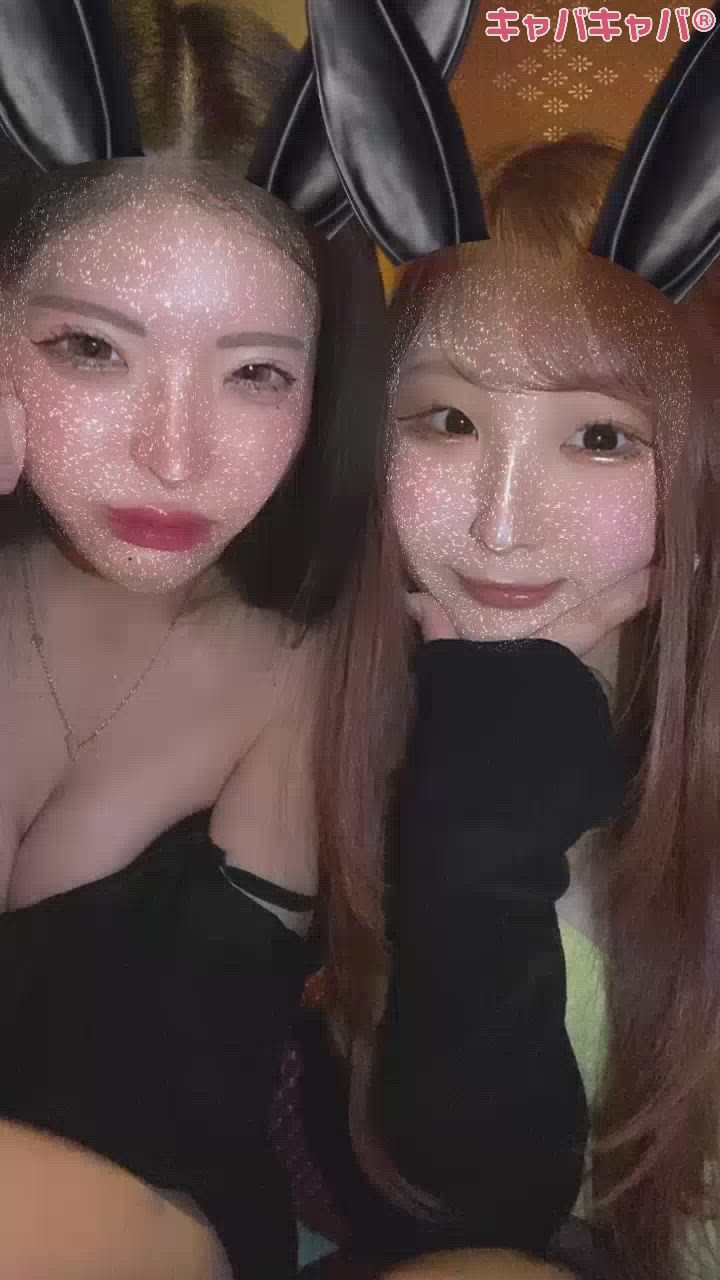 テ゛ッハ゛イテ゛ィ