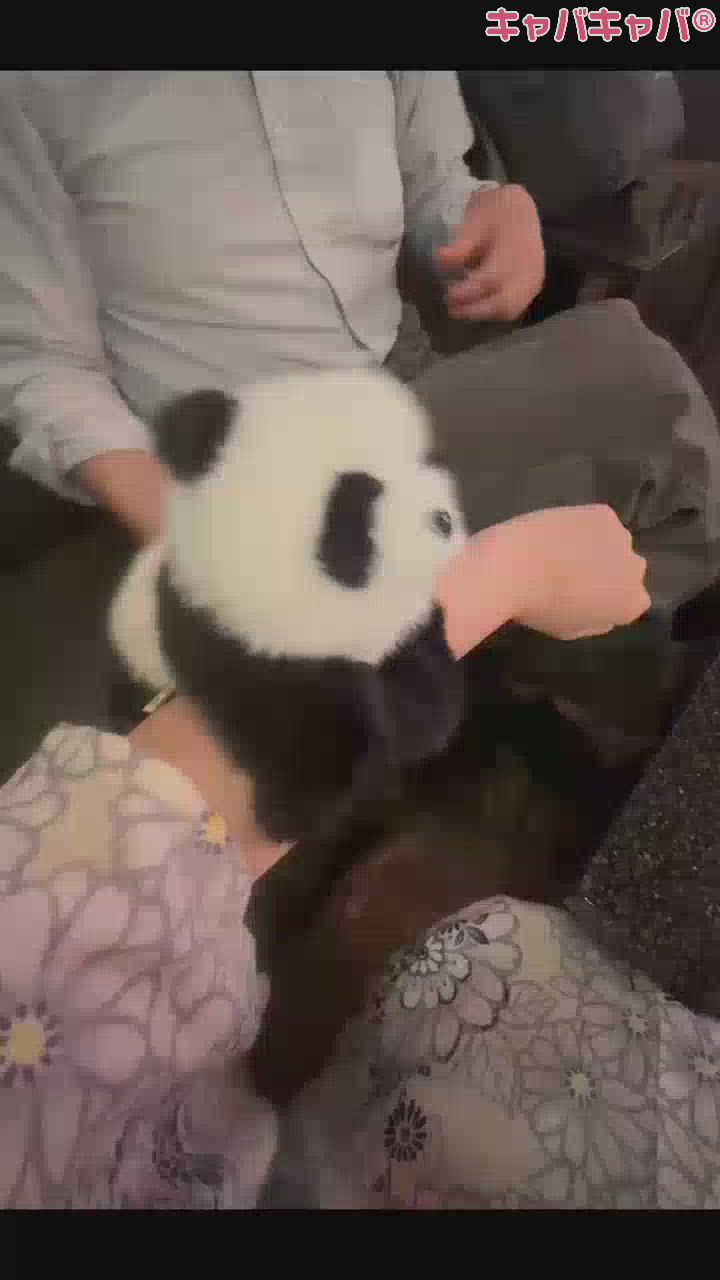 お祭りスナック　わっしょい日記1629854