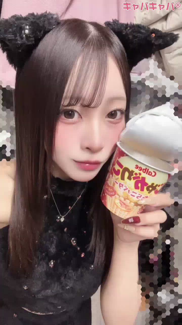 コンセプトカフェ あにまる宮殿日記1583804