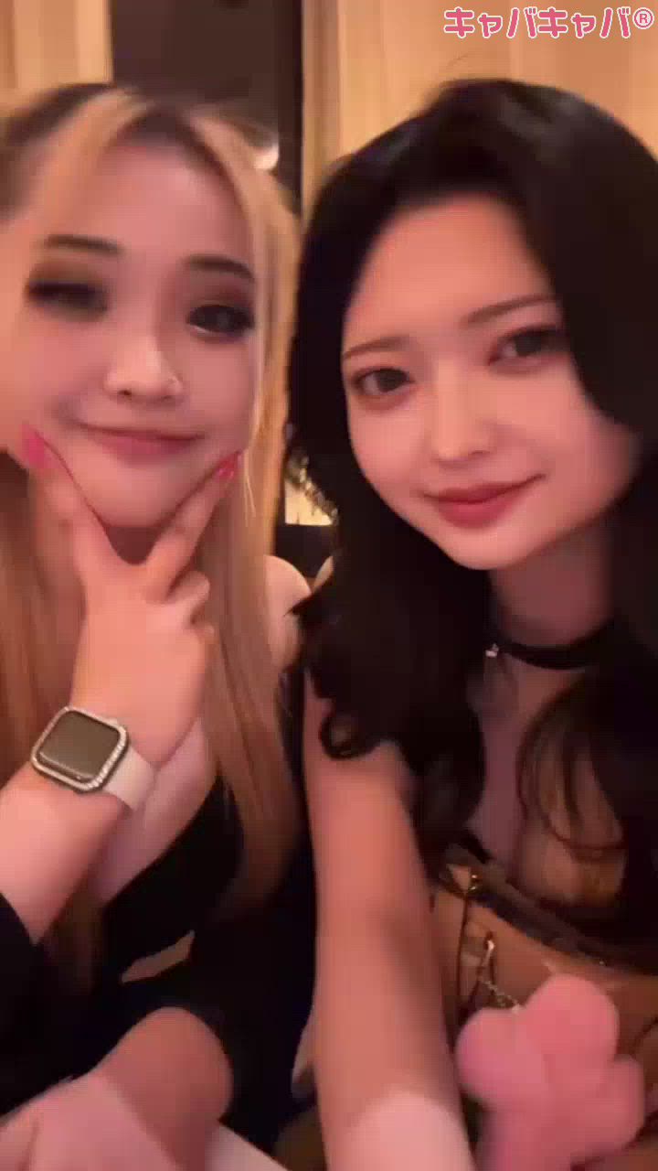 一条 葵