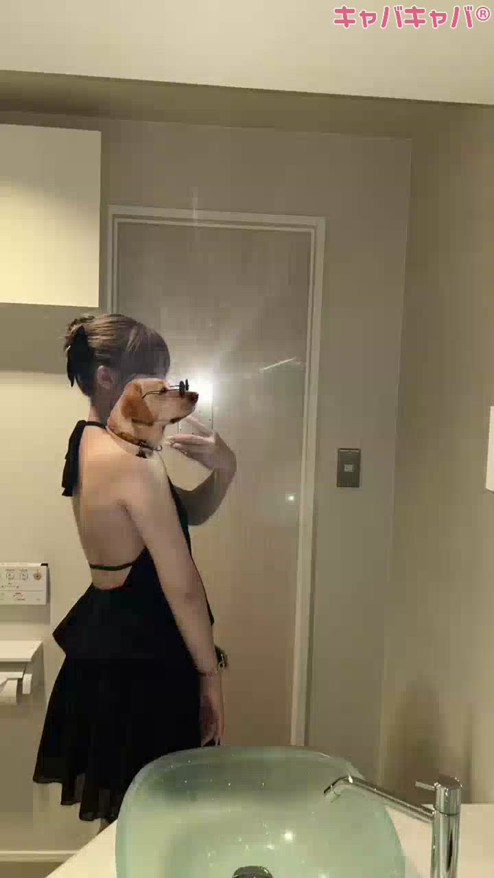葵