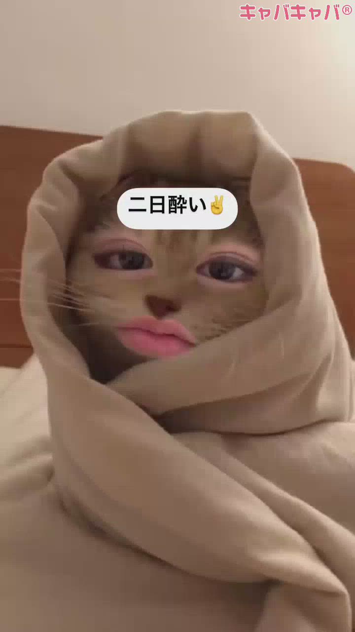 こーゆーときは迎え酒。※新人ちゃんいます！！