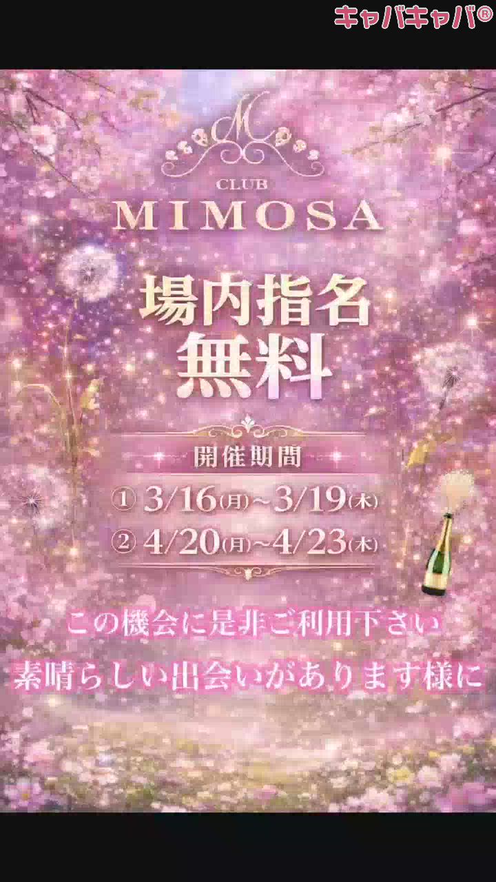 CLUB MIMOSA日記1614346