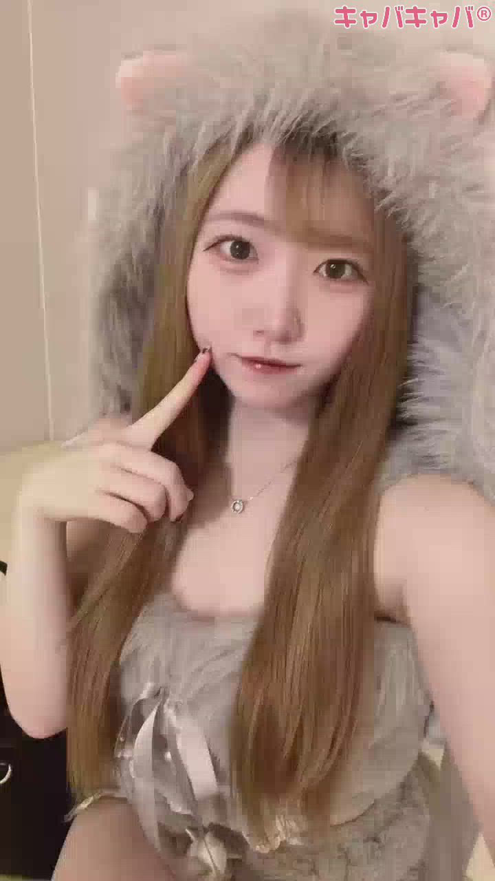 コンセプトカフェ あにまる宮殿日記1549690