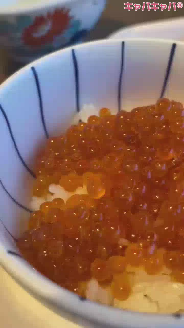 一条 葵