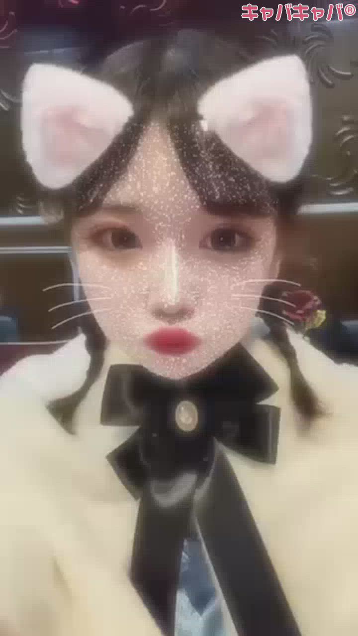 ぴょんっ(ᐢ..ᐢ)