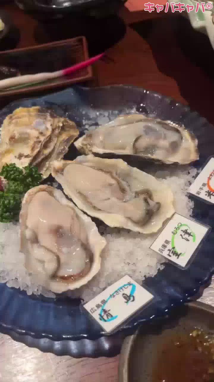 一条 葵