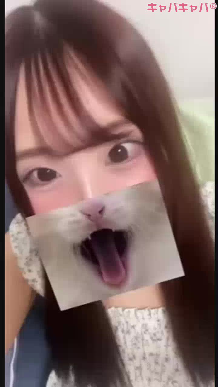にゃーーん🐱