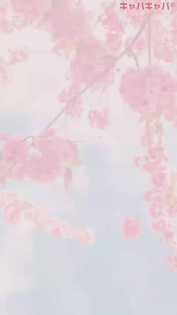 salon do華門日記1629387