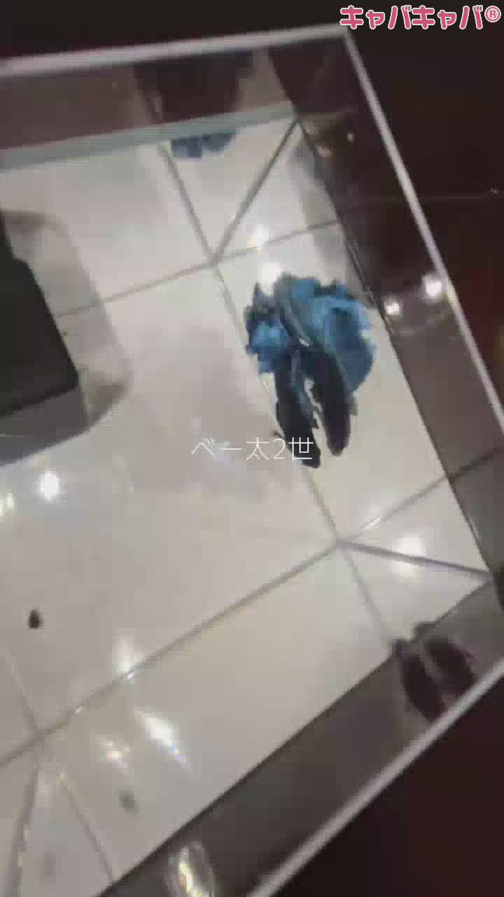 一条 葵