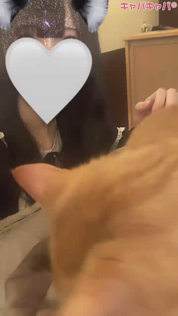 癒し🐈‍⬛🎀