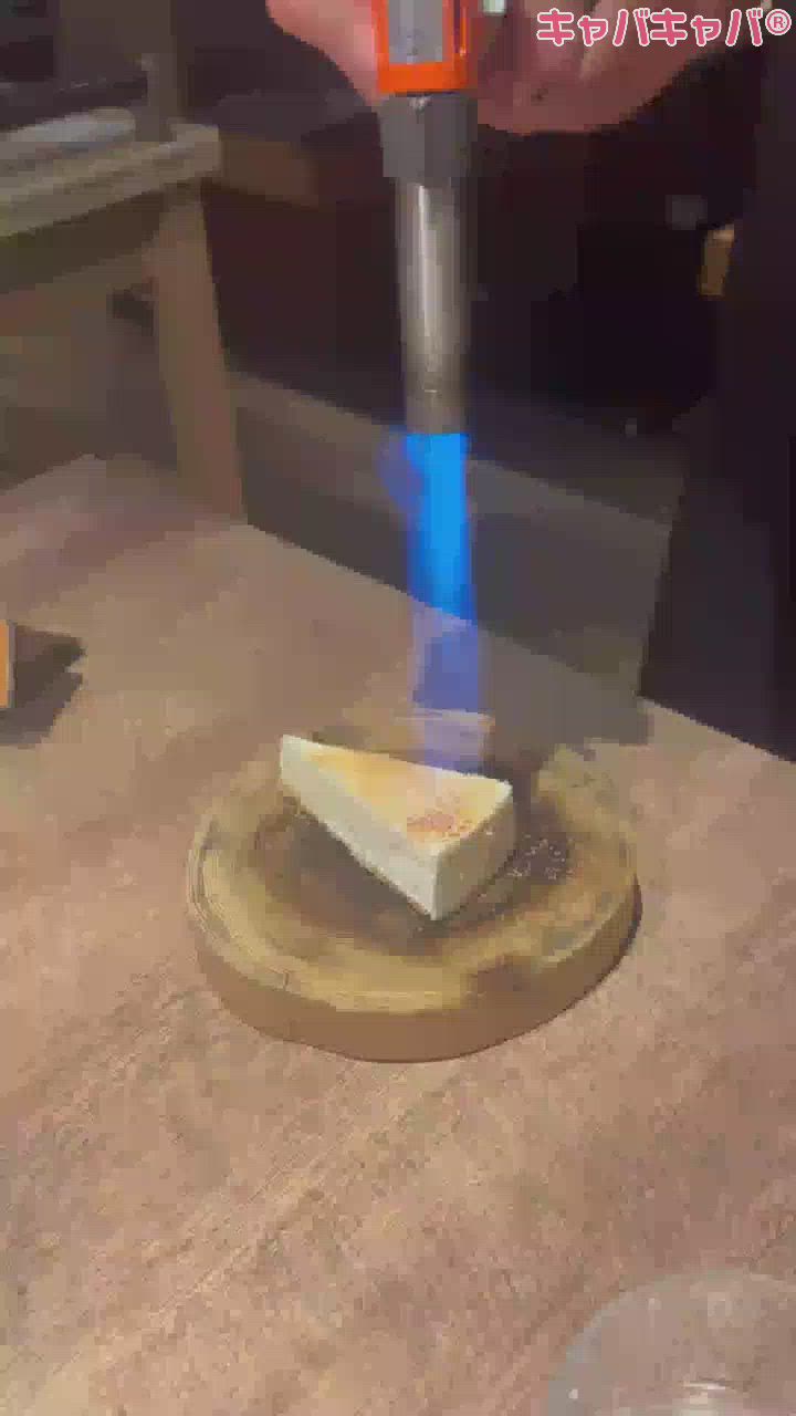 一条 葵