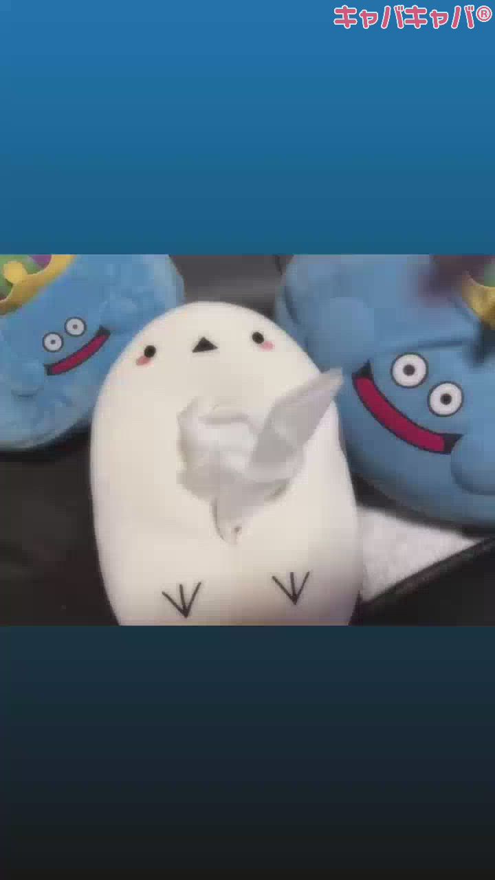 かわエナガε(´•θ•`)з