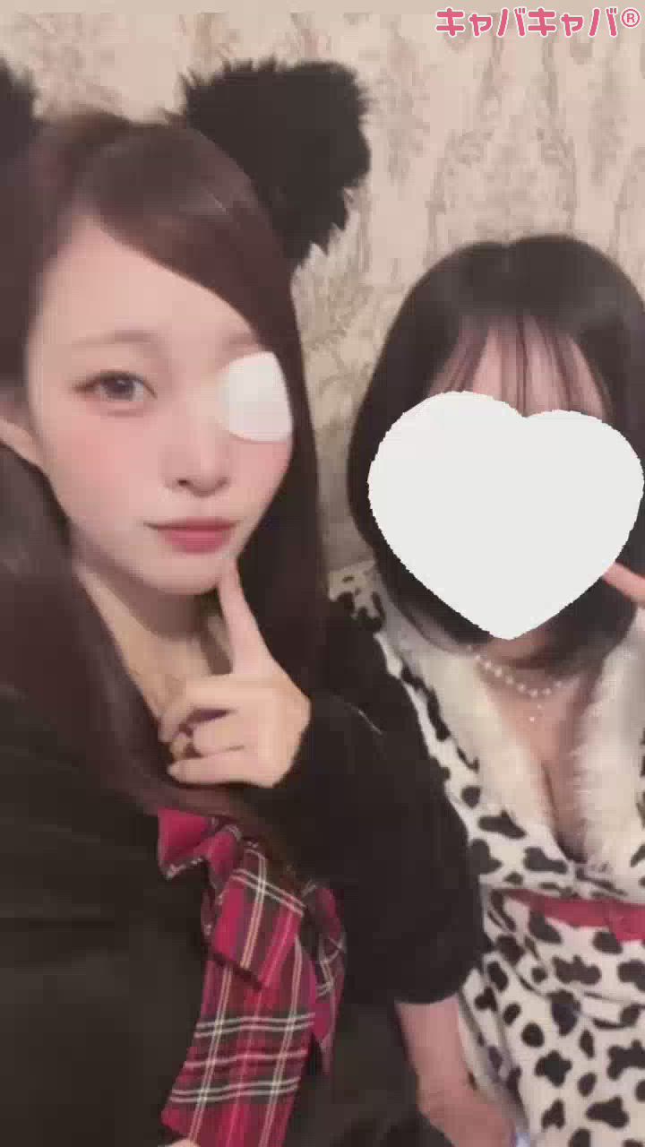 一条 葵