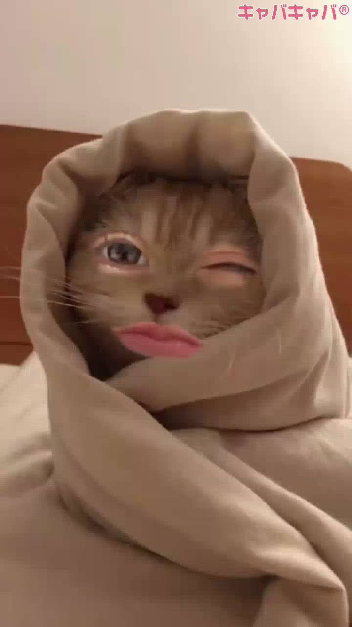 美容院いてきました