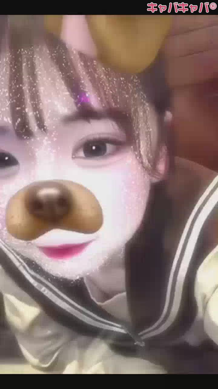 拾ってください🐶
