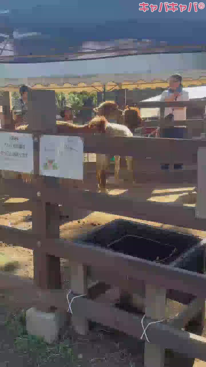 思ってたのと違った、、