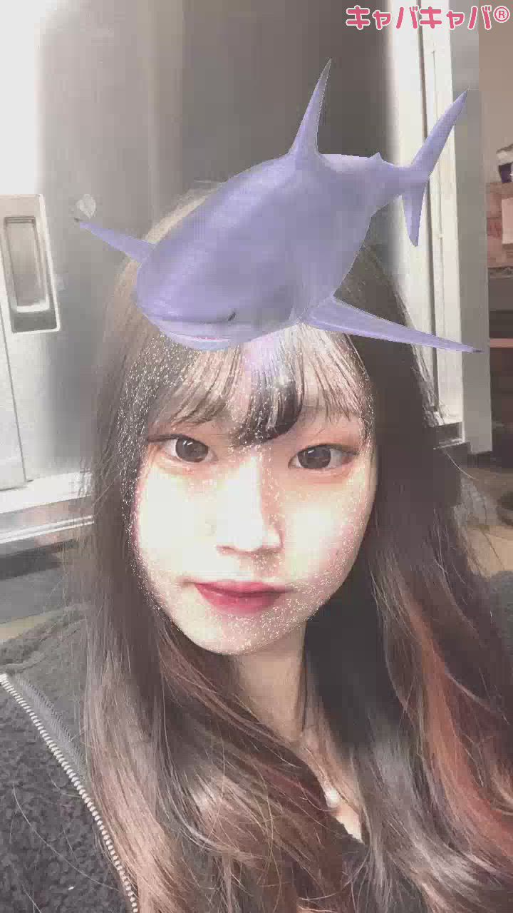 さめ‼️‼️‼️