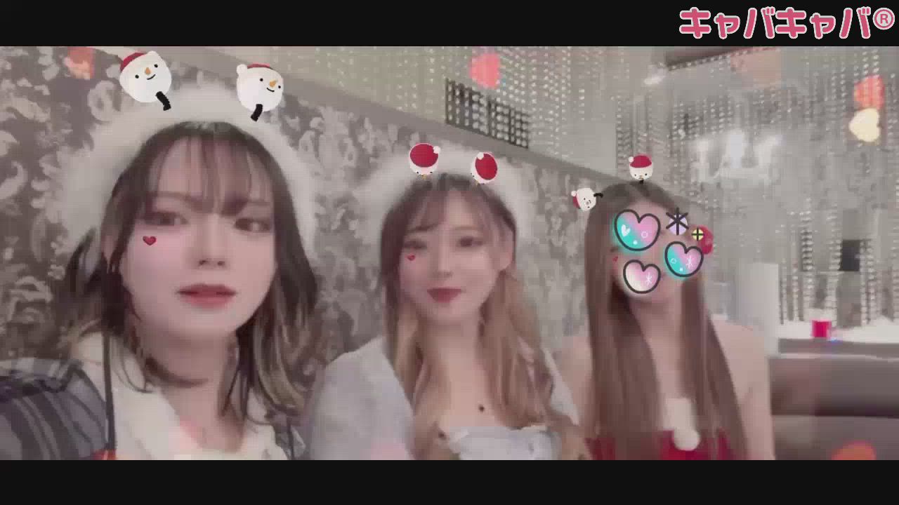 毎年一緒に過ごしてた鳩