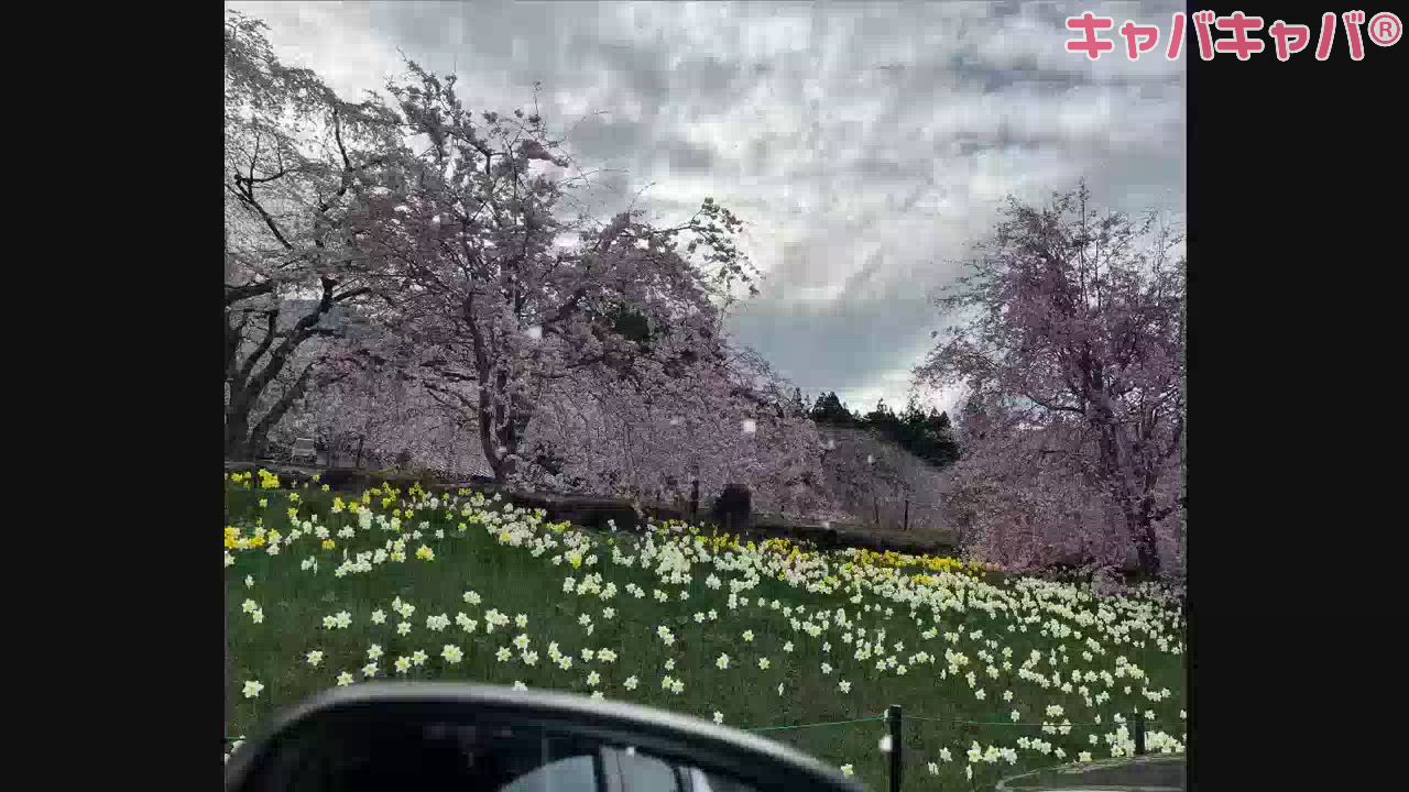 CLUB K　～Prologue～日記1639338