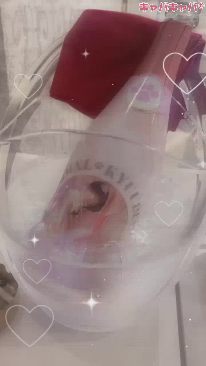 ありがとう猫⁉️