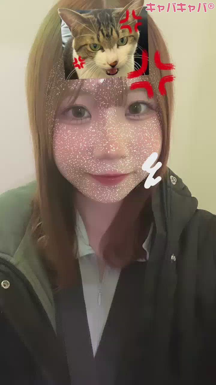 11月3日 21時11分のブログ