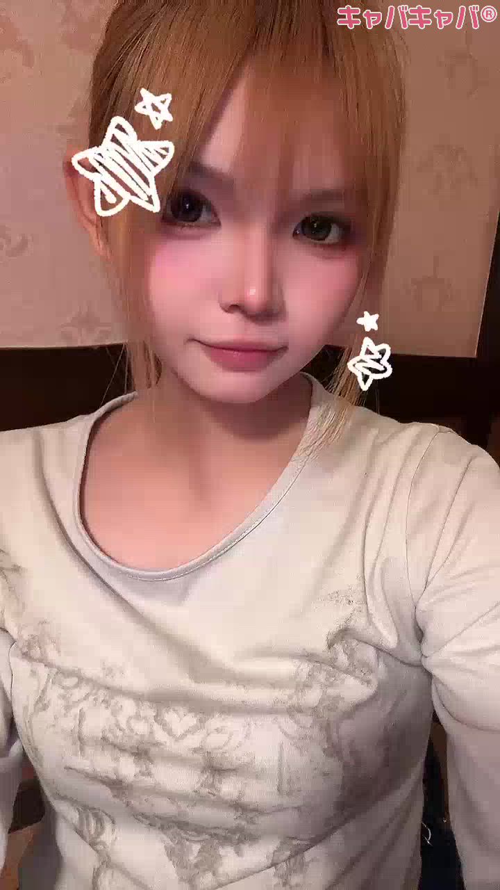 一条 葵