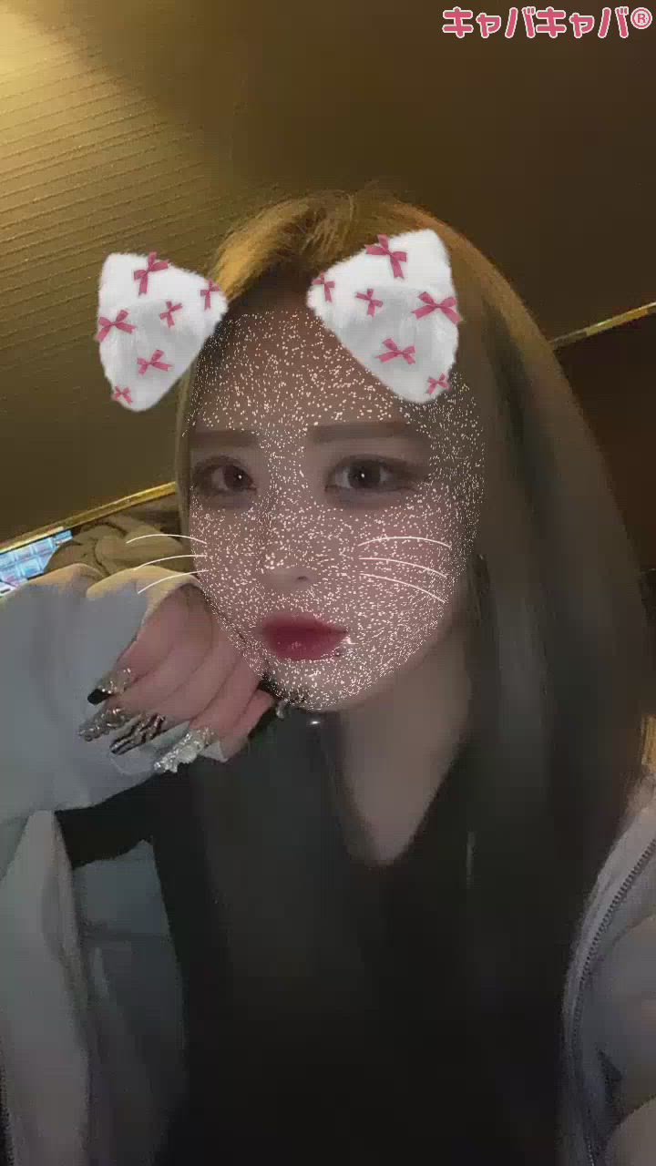 わん久々のぶろぐ👍