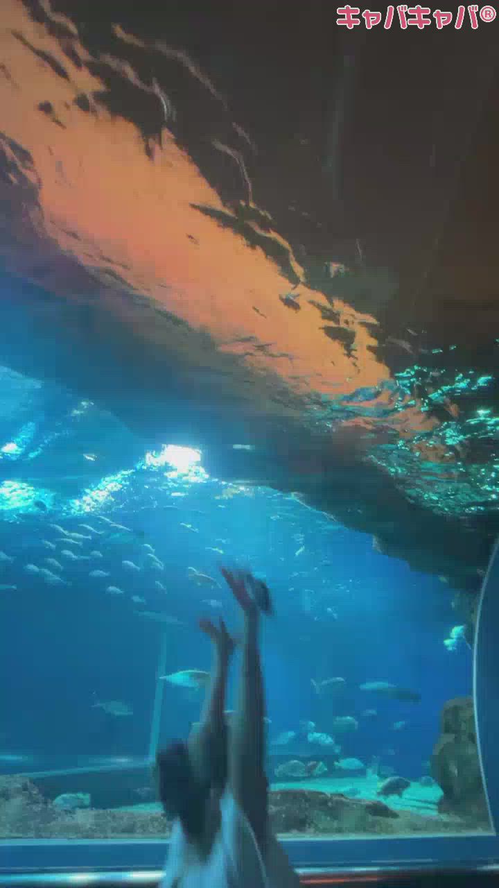 0️⃣2️⃣0️⃣9️⃣