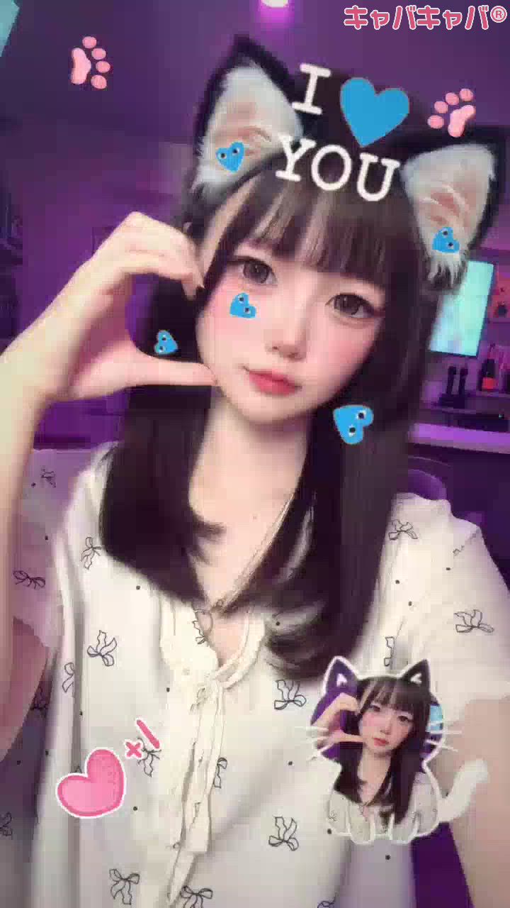 一条 葵