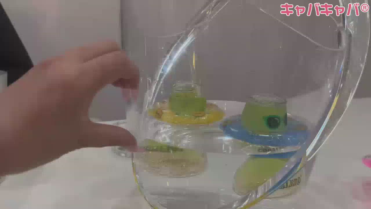 最近また食欲でてきてしまった