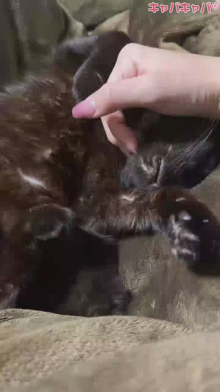 起きるの難しくね？わたしだけ？