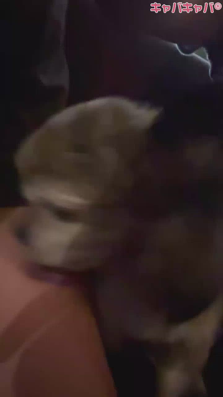 ひな