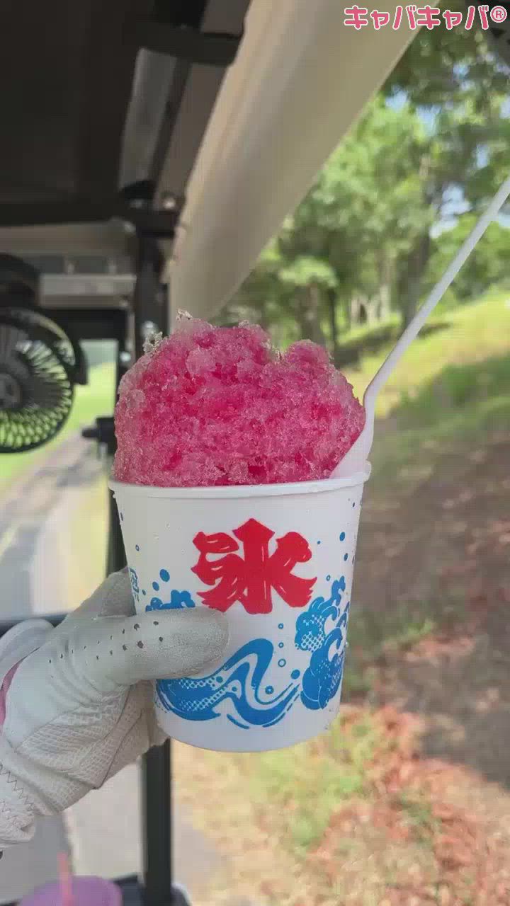 アイス人生だった話